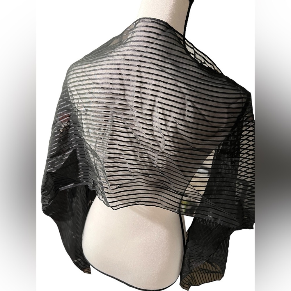 Elegant Black Striped Sheer Scarf, approx. 13”x60” - Picture 3 of 5